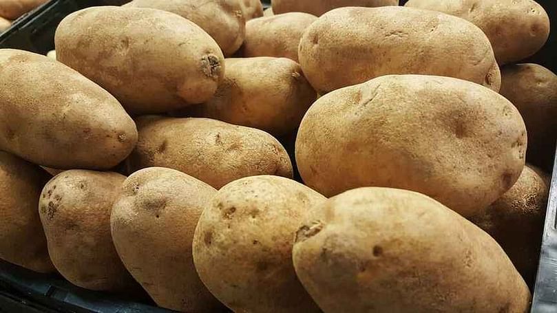 Hacer una CAJA DE MADERA para Almacenar PATATAS Todo el Año 