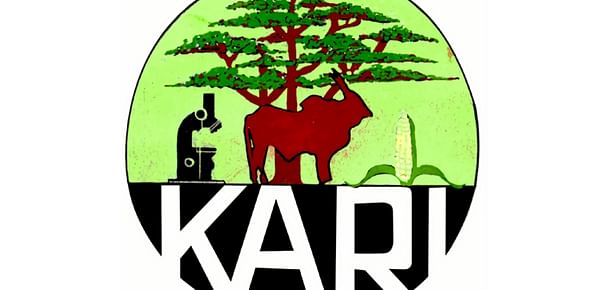 KARI develops potato varieties suitable for chips manufacturing in Kenya