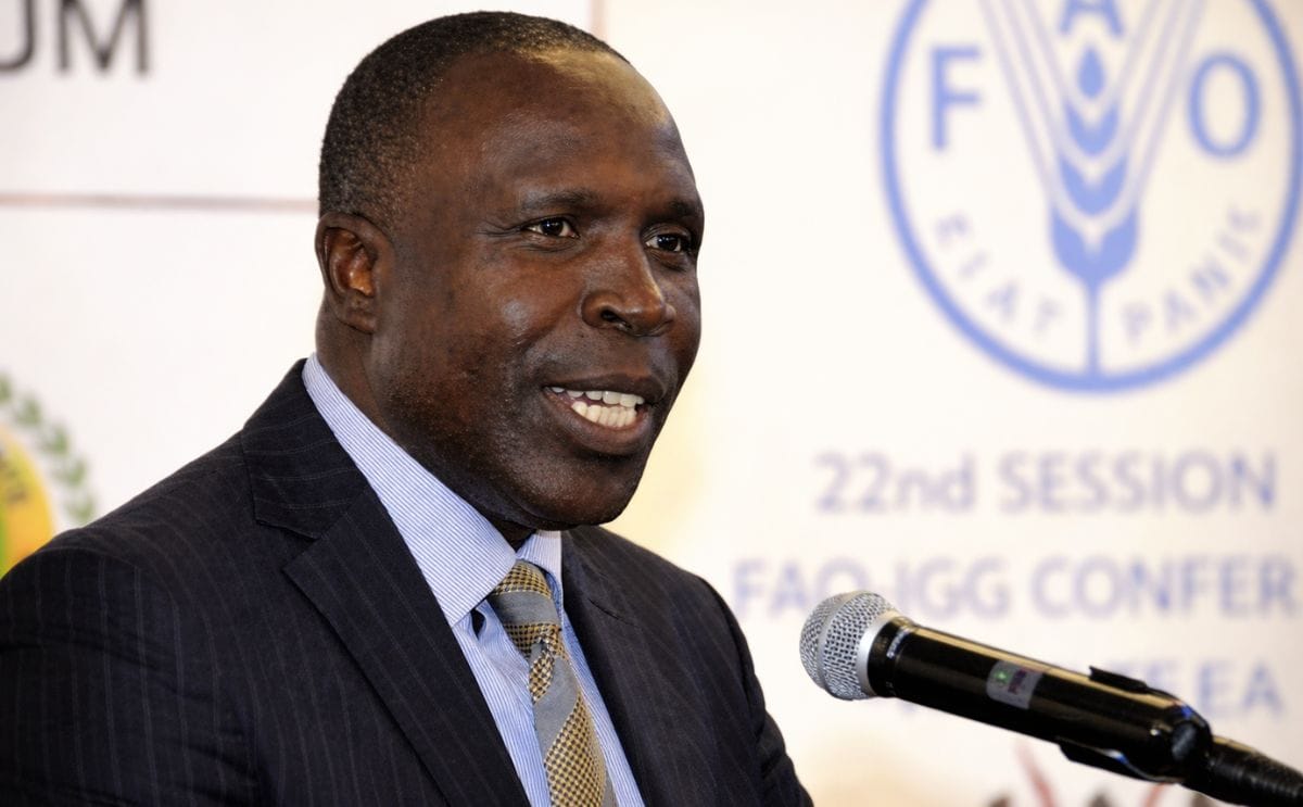 Kenya, Netherlands in deal to boost potato yield Kenya, Netherlands in deal to boost potato yield