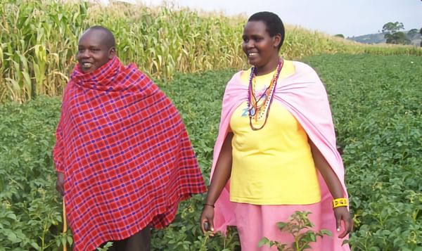 Christine Nashuru, a successful grower of clean seed potatoes in Kenya in her field
