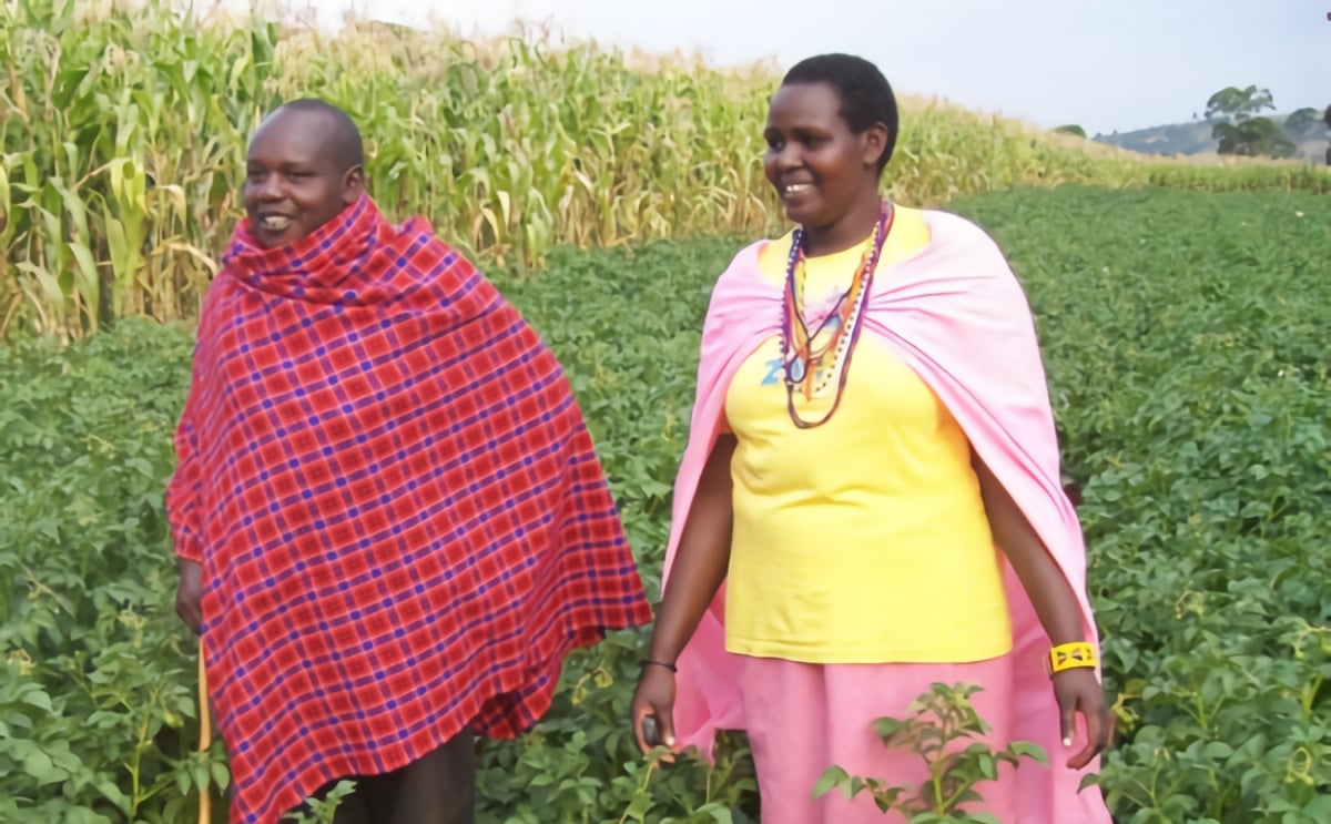 Christine Nashuru, a successful grower of clean seed potatoes in Kenya in her field Christine Nashuru, a successful grower of clean seed potatoes in Kenya in her field