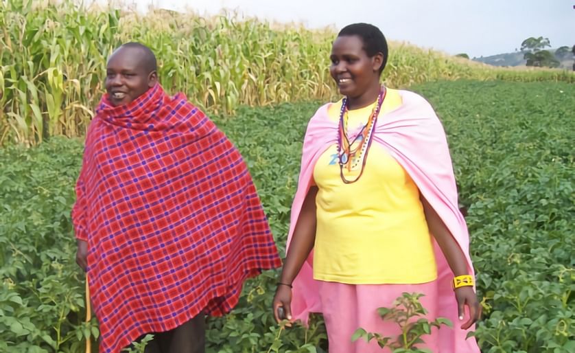 Kenya: Losses due to poor potato farming methods