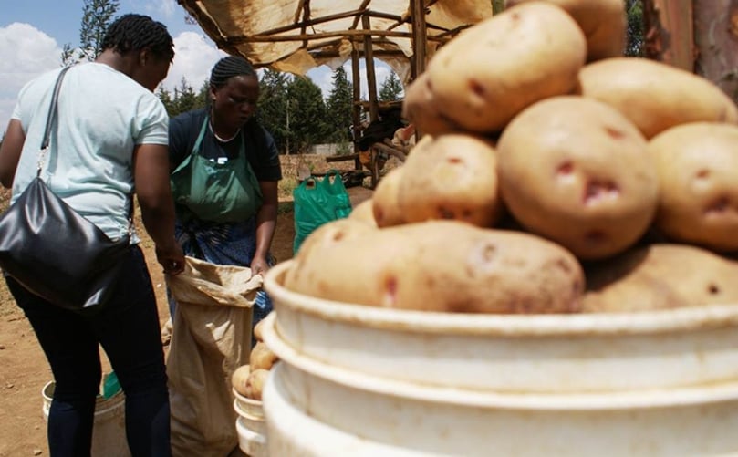 Customers stop to buy potatoes at Louise Wangari’s shed along the Nyandarua roadside in central Kenya, March 3, 2017. (Courtesy: Kagondu Njagi / Thomson Reuters Foundation) Customers stop to buy potatoes at Louise Wangari’s shed along the Nyandarua roadside in central Kenya, March 3, 2017. (Courtesy: Kagondu Njagi / Thomson Reuters Foundation)