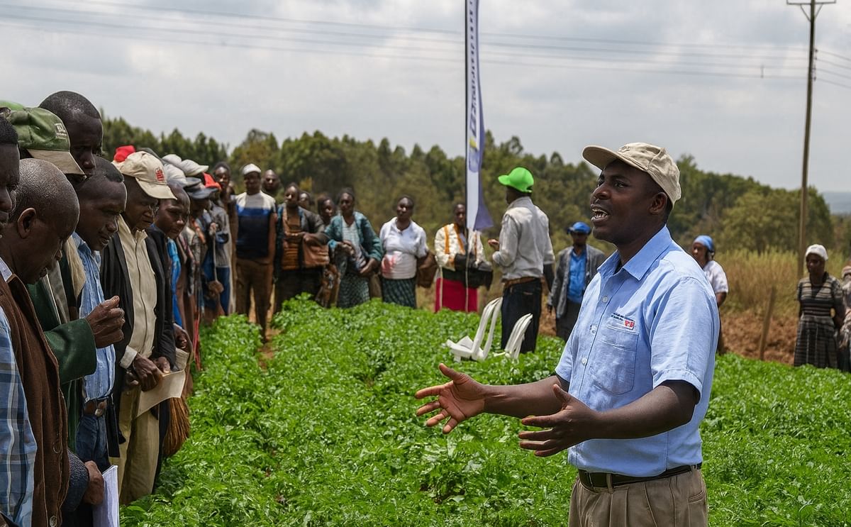 Kenyan county receives 1 million Euro from the European Union to boost potato farming Kenyan county receives 1 million Euro from the European Union to boost potato farming