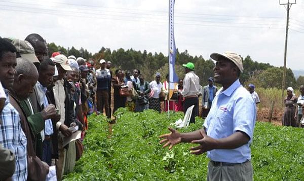 Kenyan county receives 1 million Euro from the European Union to boost potato farming