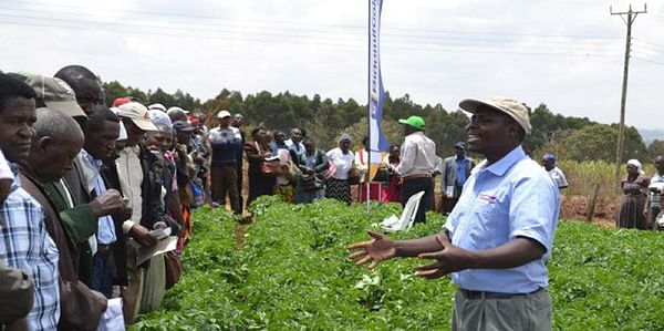 Kenyan county receives 1 million Euro from the European Union to boost potato farming