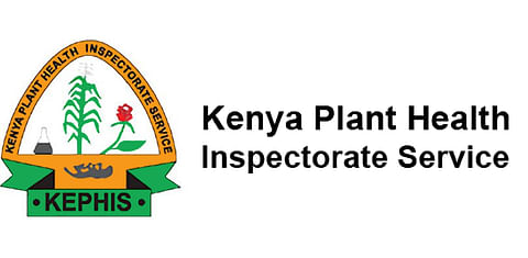 Kenya Plant Health Kenya Plant Health