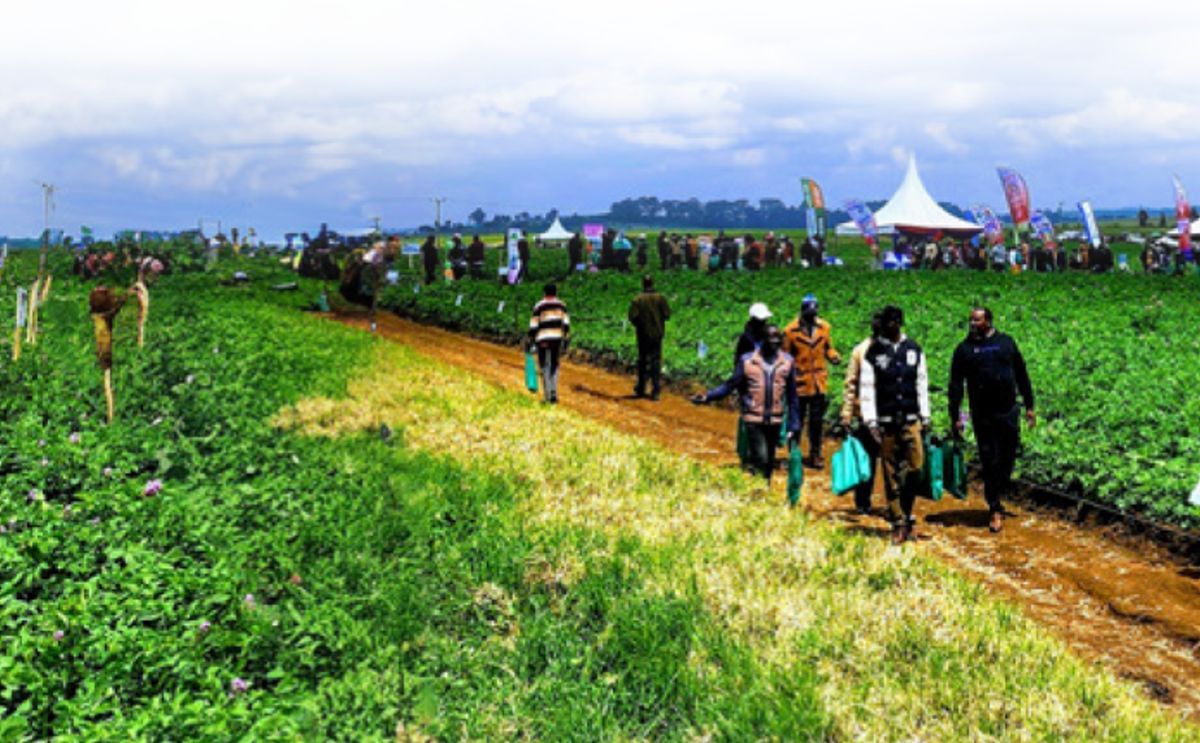 Farmers and stakeholders at FreshCrop Ltd’s field day in Nakuru — a glimpse of the agricultural engagement anticipated at WPC 2026 in Naivasha. Farmers and stakeholders at FreshCrop Ltd’s field day in Nakuru — a glimpse of the agricultural engagement anticipated at WPC 2026 in Naivasha.