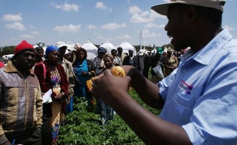 Farmers receive training on how to produce potatoes for processors at the Ol Jorok Agriculture Training Center in central Kenya, March 3, 2017 (Courtesy: Kagondu Njagi / Thomson Reuters Foundation) Farmers receive training on how to produce potatoes for processors at the Ol Jorok Agriculture Training Center in central Kenya, March 3, 2017 (Courtesy: Kagondu Njagi / Thomson Reuters Foundation)