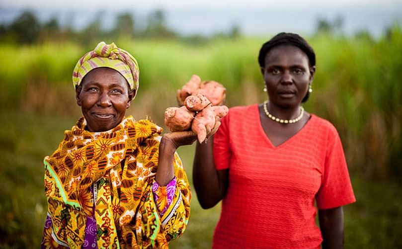 Orange flesh sweetpotatoes are an excellent source of Vitamin A, which is essential to a nutritious, balanced diet. (Courtesy: Fintrac Inc.| USAID)