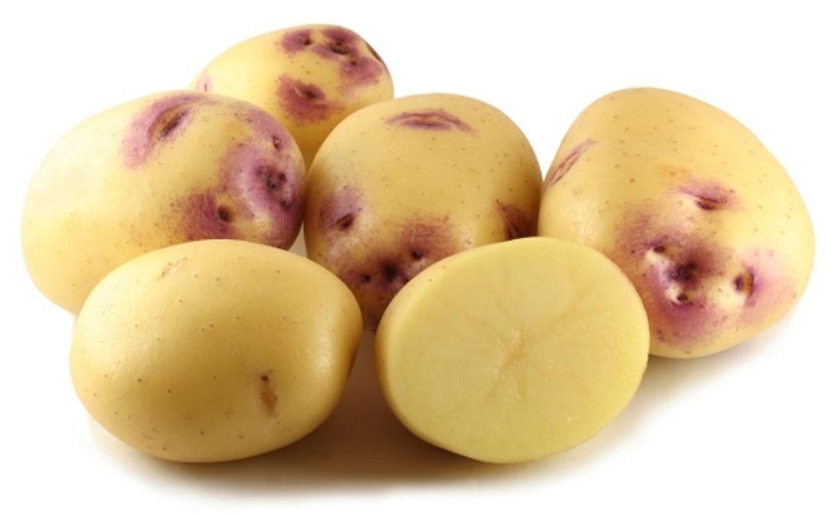 AUSVEG questions benefits of generic potato marketing campaign 