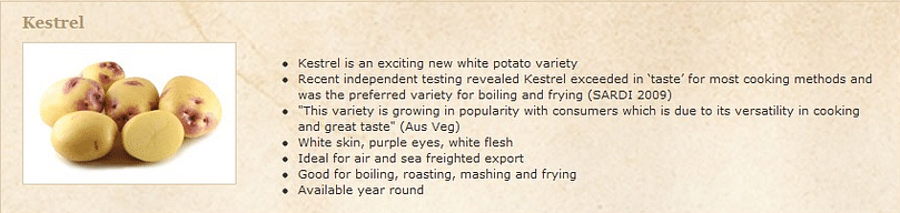 The new potato variety Kestrel