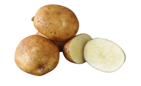 KEUKA GOLD KEUKA GOLD