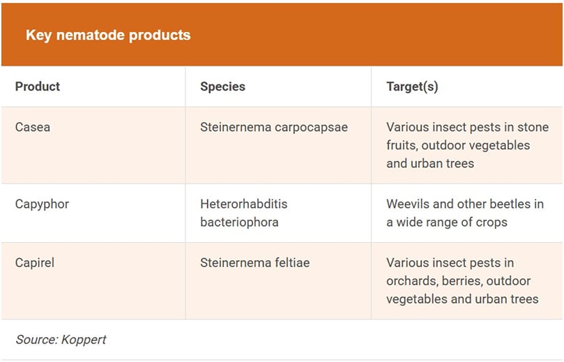 Key nematode products (Source: Koppert) Key nematode products (Source: Koppert)