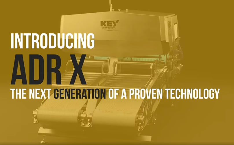 Meet ADR X for potato strips