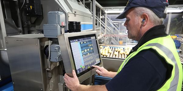 Cockerill Relies on Key Technology’s Herbert OCULUS Optical Sorters for Whole Potatoes