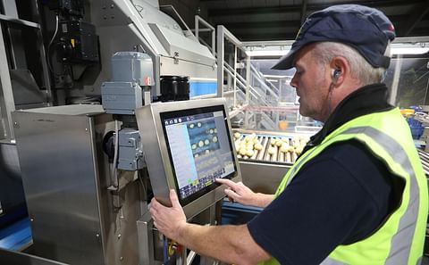 Herbert OCULUS sorters inspect whole, washed potatoes for surface abnormalities, diseases and more Herbert OCULUS sorters inspect whole, washed potatoes for surface abnormalities, diseases and more
