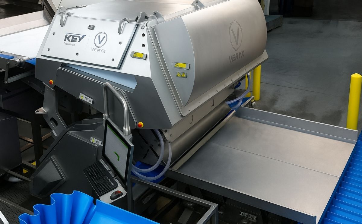 Key Technology Wins US$9 Million Deal with Lutosa, McCain’s Belgian SubsidiaryThe order includes New VERYX® Digital Sorters to Inspect Processed and Finished Frozen Potato Strips
