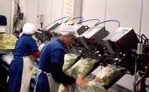 AV Sealer Packaging Machine from Key Technology redesigned AV Sealer Packaging Machine from Key Technology redesigned