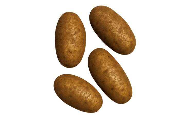 KEYSTONE RUSSET KEYSTONE RUSSET