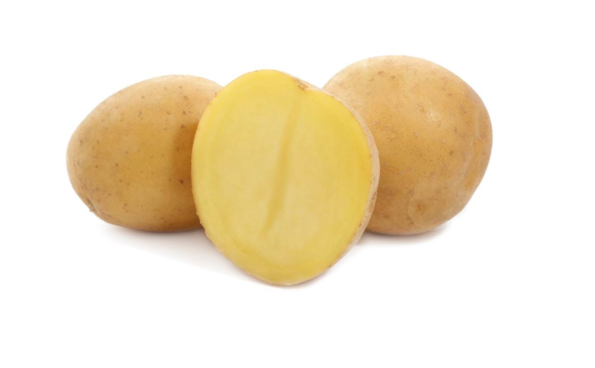 KIEBITZ