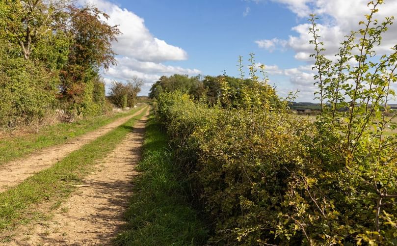 Kilkenny Farm, Gloucestershire UK (Caption: Lloyds Banking Group) Kilkenny Farm, Gloucestershire UK (Caption: Lloyds Banking Group)
