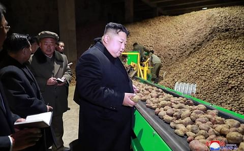 Kim Jong-un visits the Samjiyon Potato Farina Production Factory (Courtesy: KCNA-Yonhap)