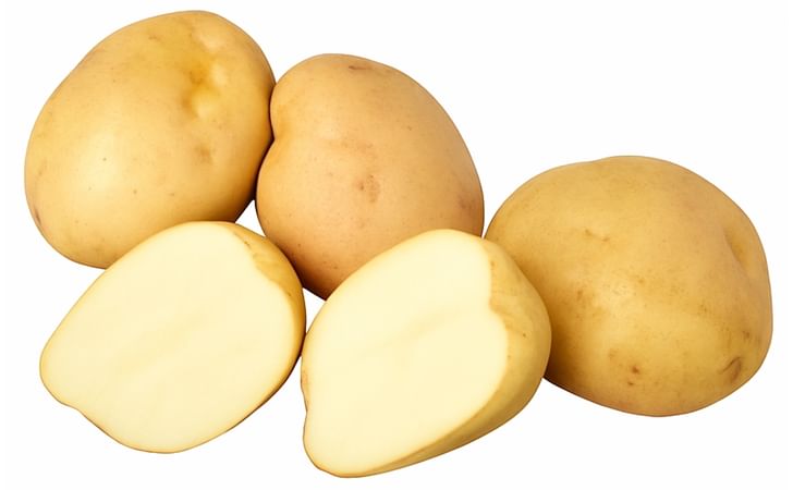 King Harry King Harry