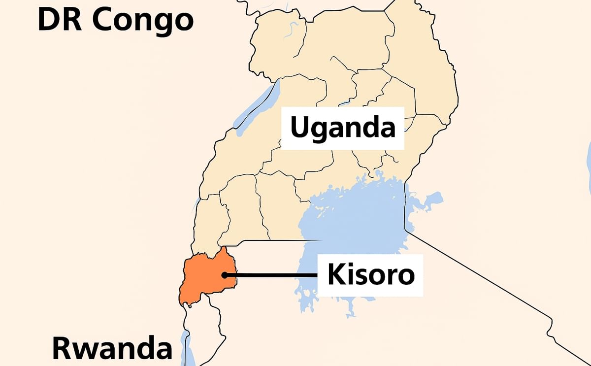 New Uganda potato processing plant for French Fries offers opportunities for potato farmers in three countries