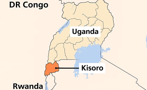 New Uganda potato processing plant for French Fries offers opportunities for potato farmers in three countries New Uganda potato processing plant for French Fries offers opportunities for potato farmers in three countries