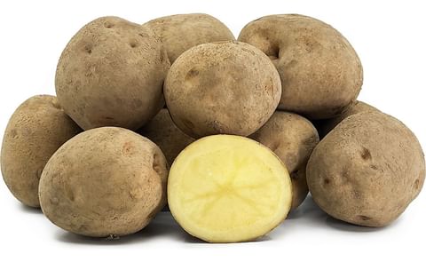 KITA AKARI KITA AKARI