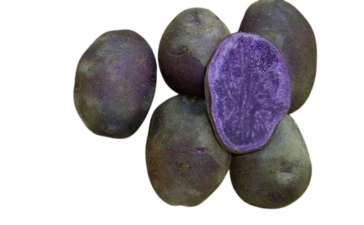 KITAMURASAKI KITAMURASAKI