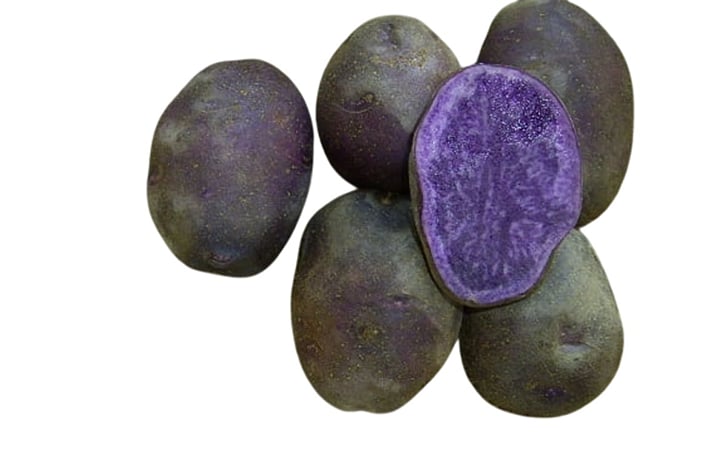 KITAMURASAKI KITAMURASAKI