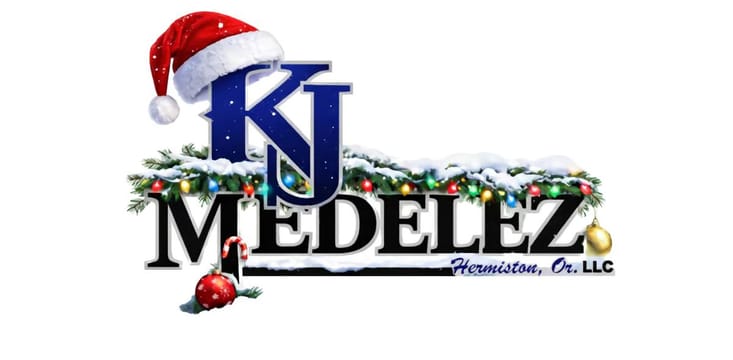 KJ Medelez LLC
