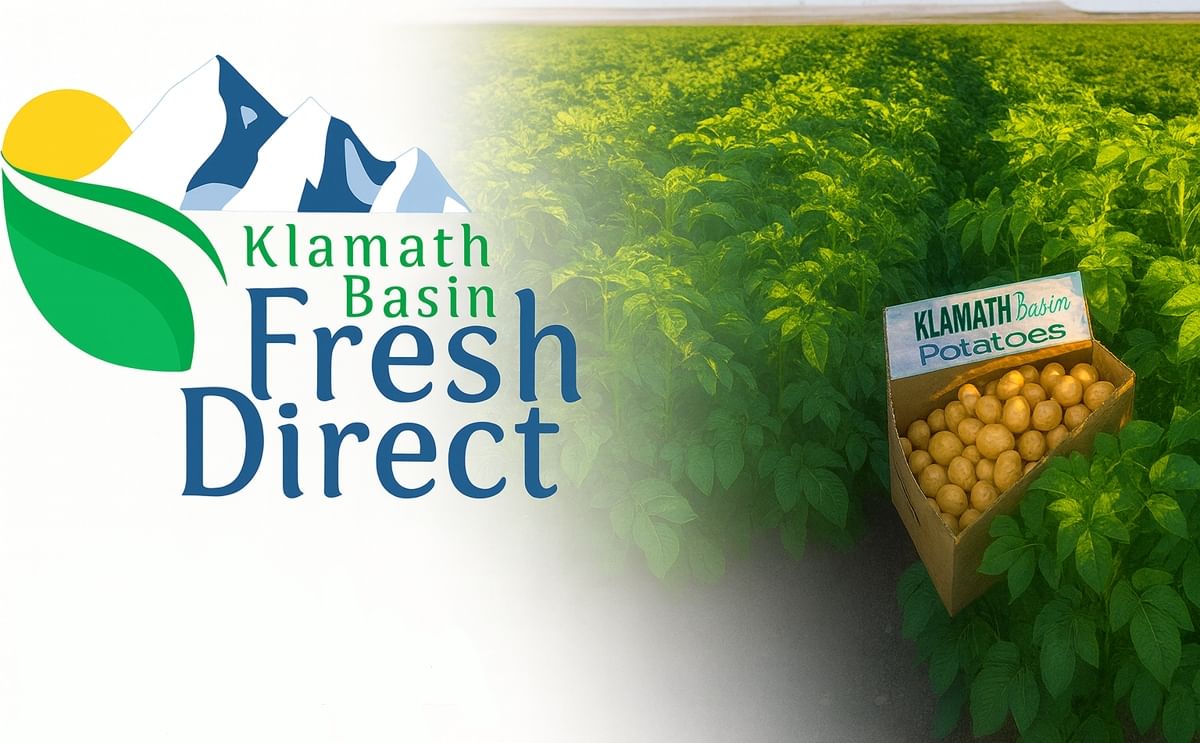 Klamath Basin Fresh Direct chooses packaging option to prevent greening