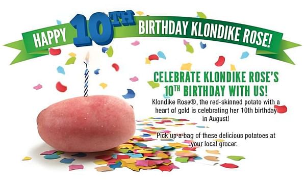 Klondike Rose tenth birthday