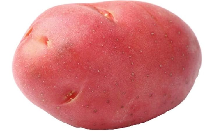 KLONDIKE ROSE KLONDIKE ROSE