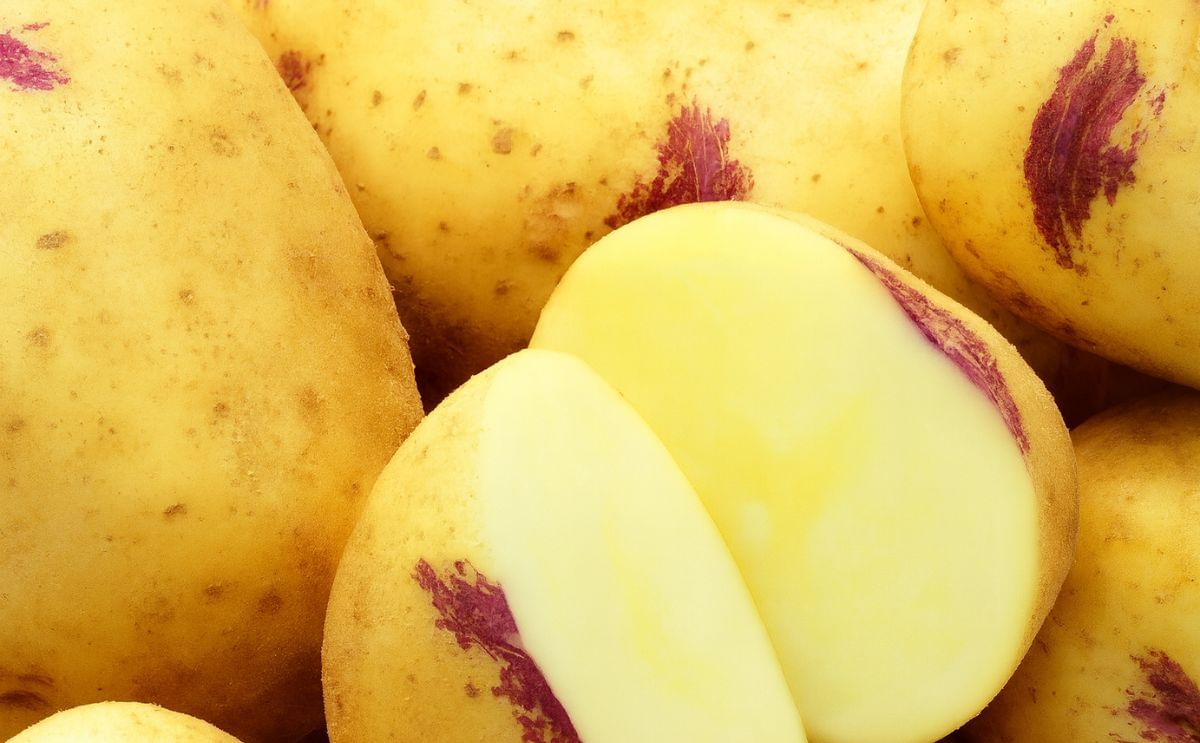 Potandon Produce showcases Klondike Royale, Smiley's at PMA Fresh Summit