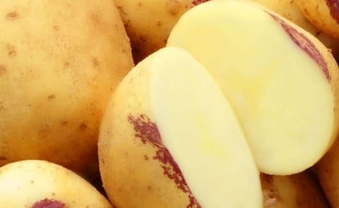 Potandon Produce showcases Klondike Royale, Smiley's at PMA Fresh Summit Potandon Produce showcases Klondike Royale, Smiley's at PMA Fresh Summit