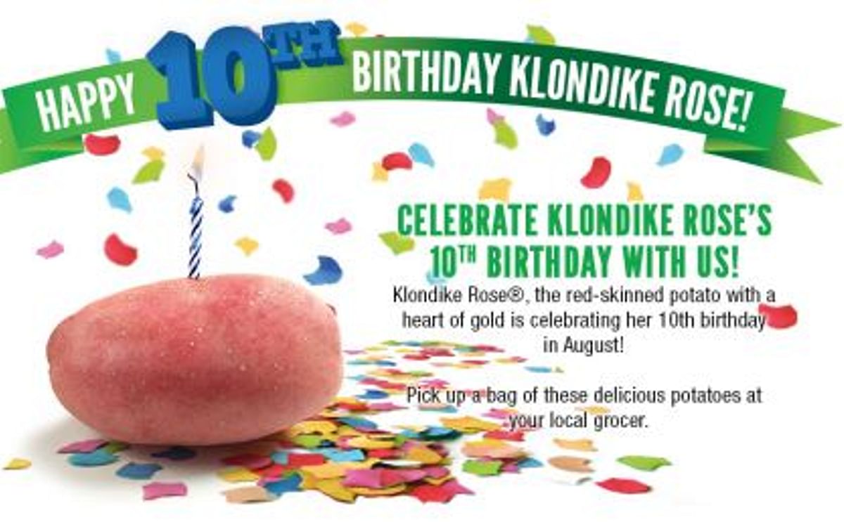  Klondike Rose tenth birthday