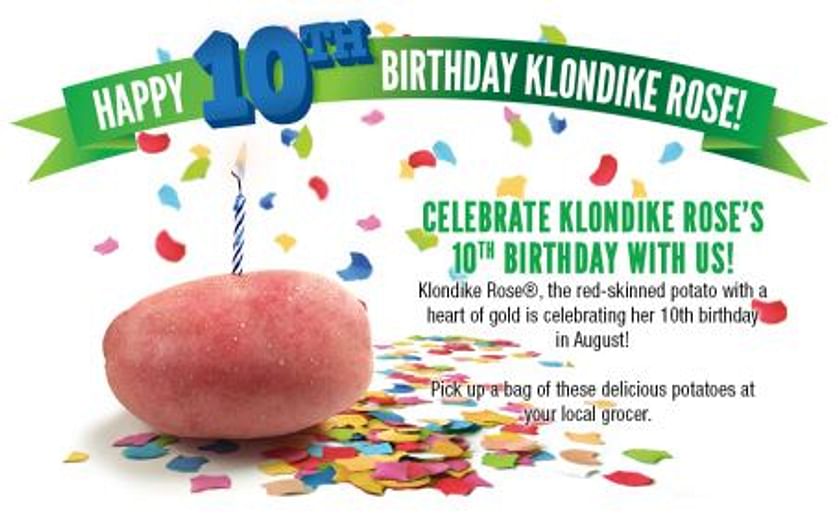 10 years of Klondike Rose potatoes