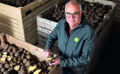 Jans Klok, Knowledge coordinator, of Avebe. Jans Klok, Knowledge coordinator, of Avebe.