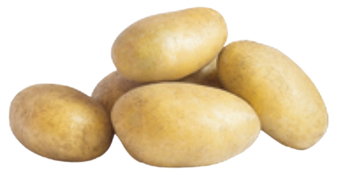 KOLIA KOLIA
