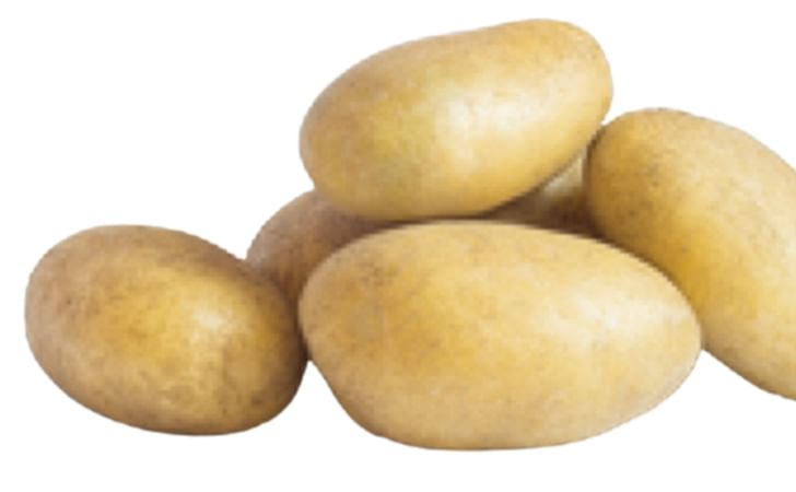 KOLIA KOLIA
