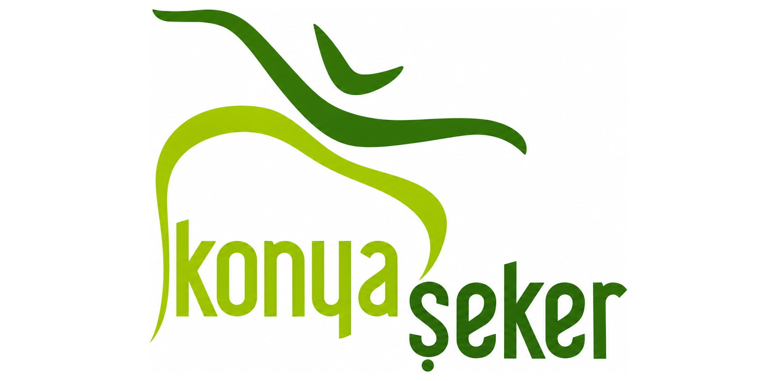 Konya Seker Industry and Co.