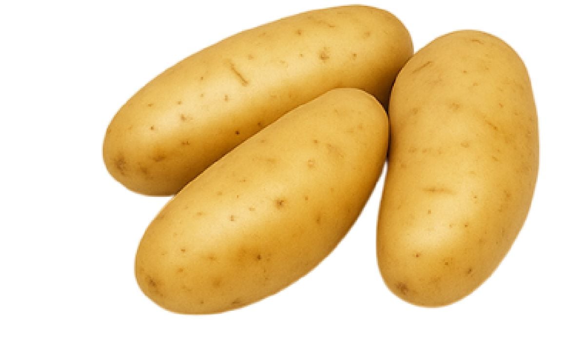 KRANTZ KRANTZ