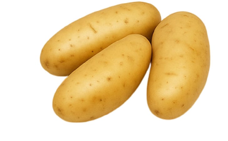 KRANTZ KRANTZ