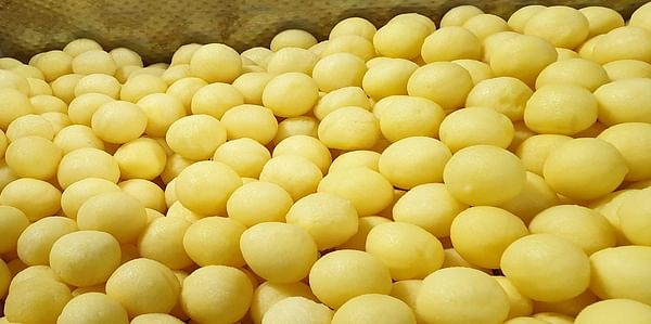 Kiremko delivers 5 ton potato pasteurization line to Agrofirma KRiMM in Russia