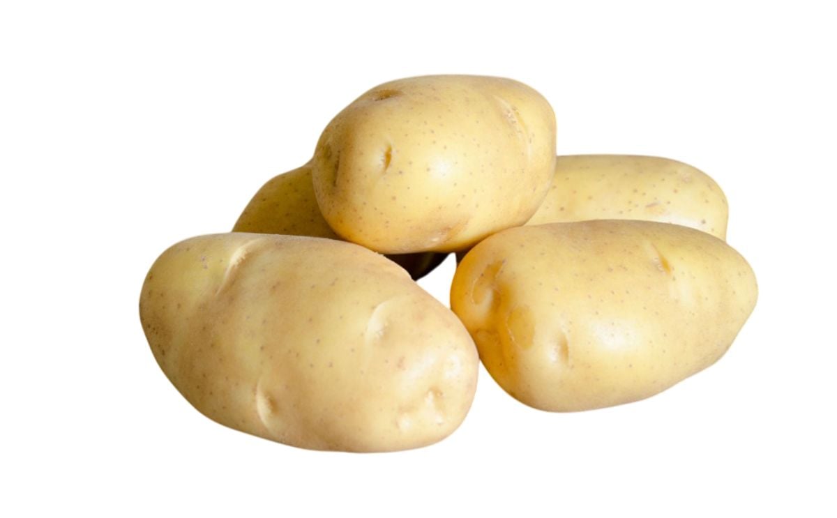 KRONE KRONE