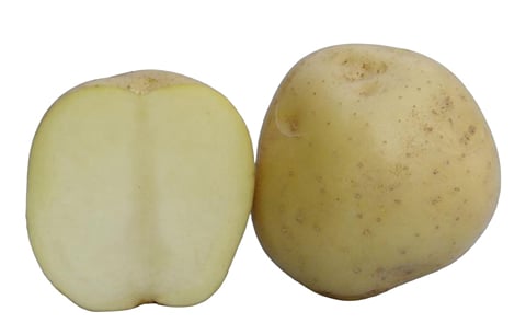 KUFRI CHIPSONA 2 KUFRI CHIPSONA 2